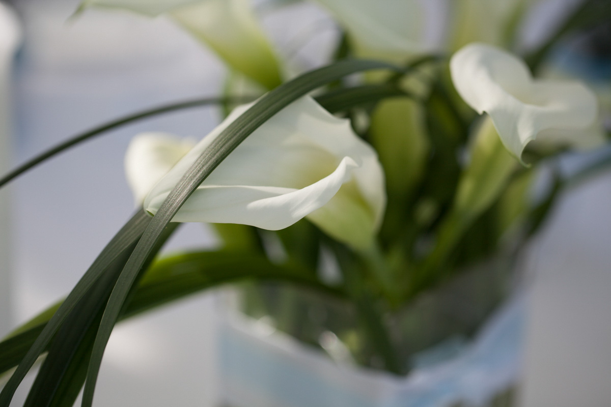  : Trauung : Hochzeitsfotograf Luzern 